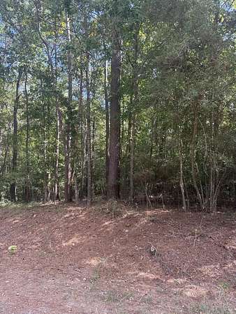 0.48 Acres of Residential Land for Sale in Etoile, Texas