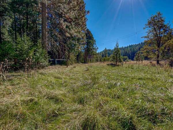 2.5 Acres of Residential Land for Sale in Mount Shasta, California
