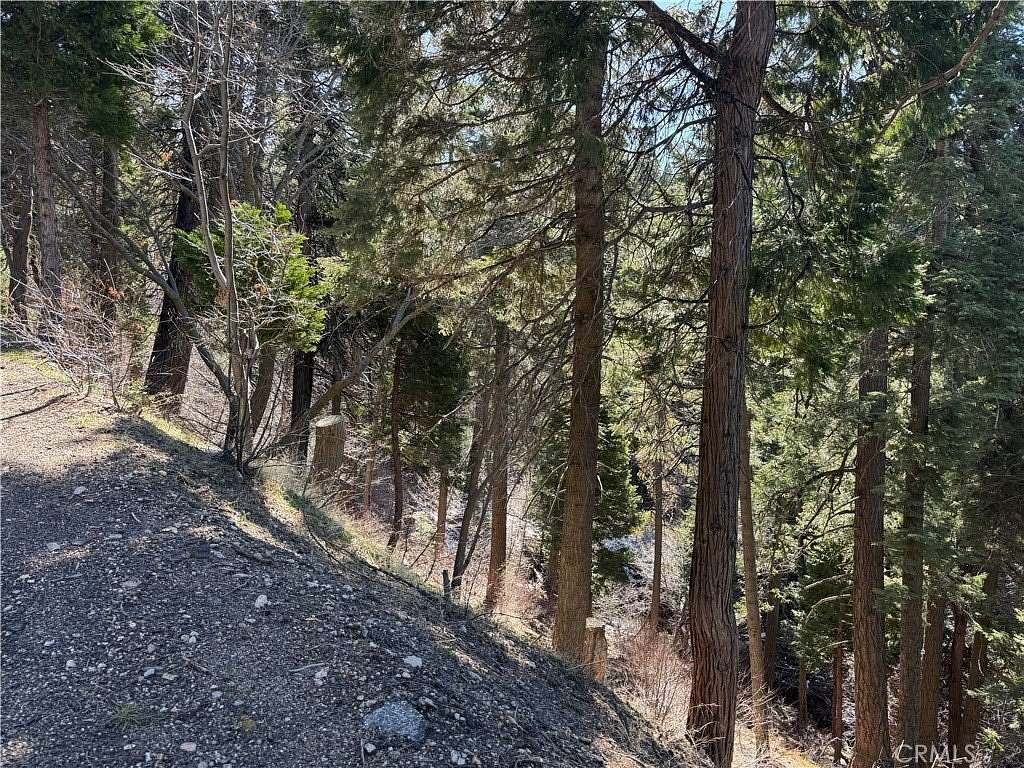 0.09 Acres of Land for Sale in Lake Arrowhead, California