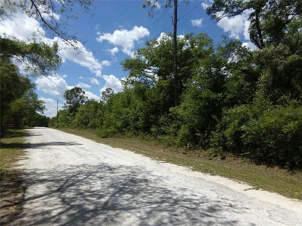 1.1 Acres of Residential Land for Sale in Webster, Florida