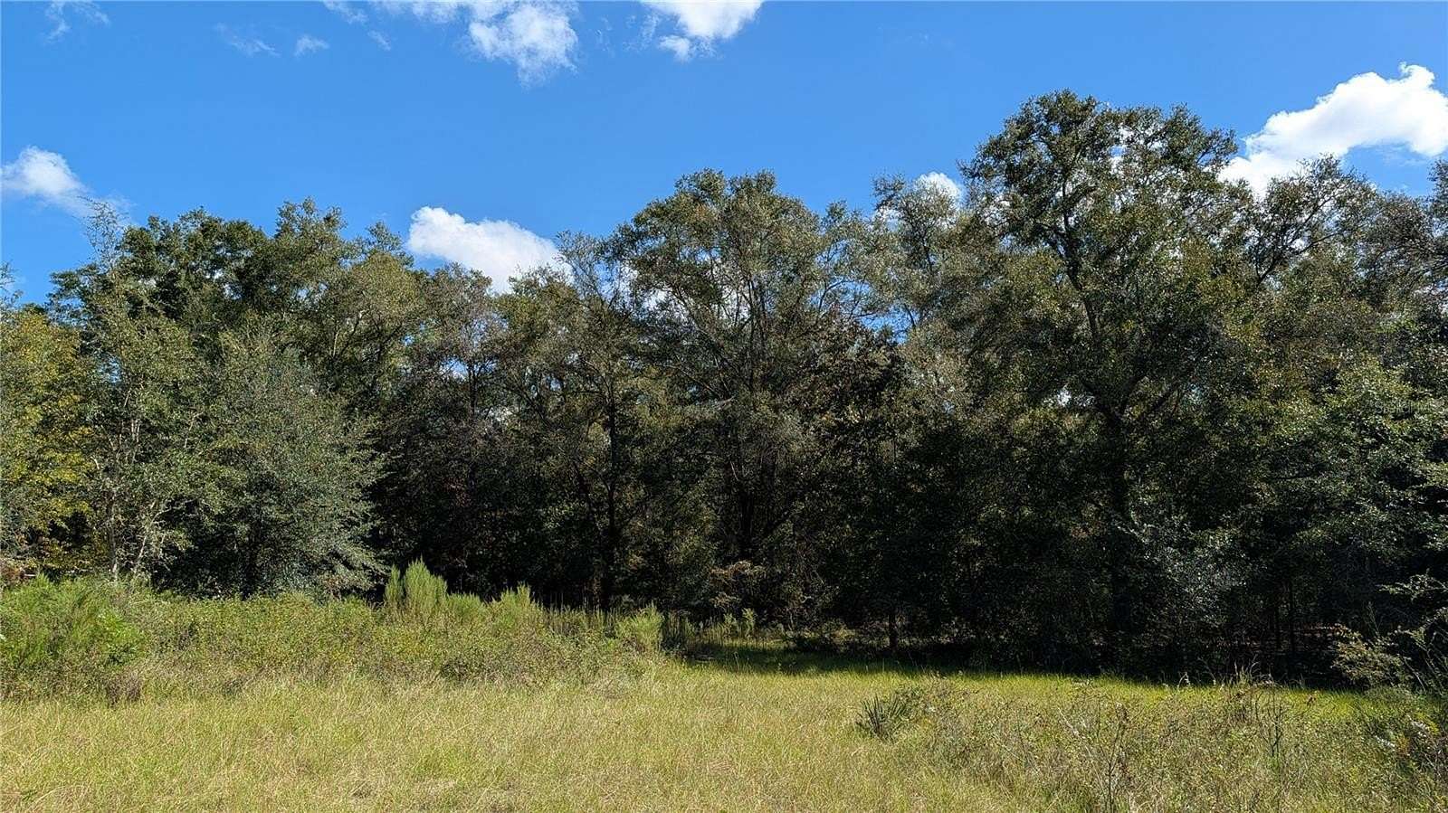 5 Acres of Residential Land for Sale in High Springs, Florida