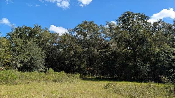 5 Acres of Residential Land for Sale in High Springs, Florida