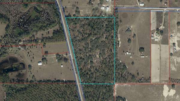 20 Acres of Land for Sale in Dunnellon, Florida