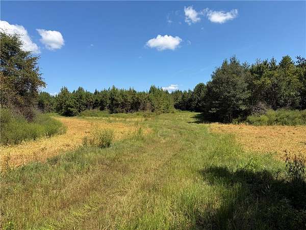 42.6 Acres of Recreational & Residential Land for Sale in Townville, South Carolina