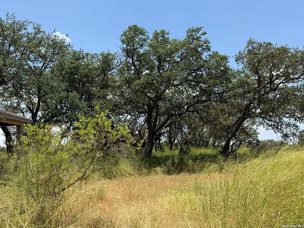 2 Acres of Land with Home for Sale in Natalia, Texas