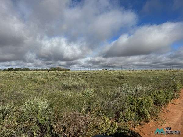 234 Acres of Land for Sale in Portales, New Mexico