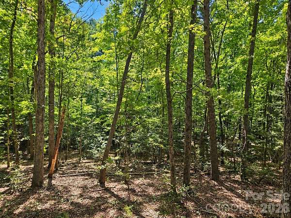 3 Acres of Residential Land for Sale in Troy, North Carolina