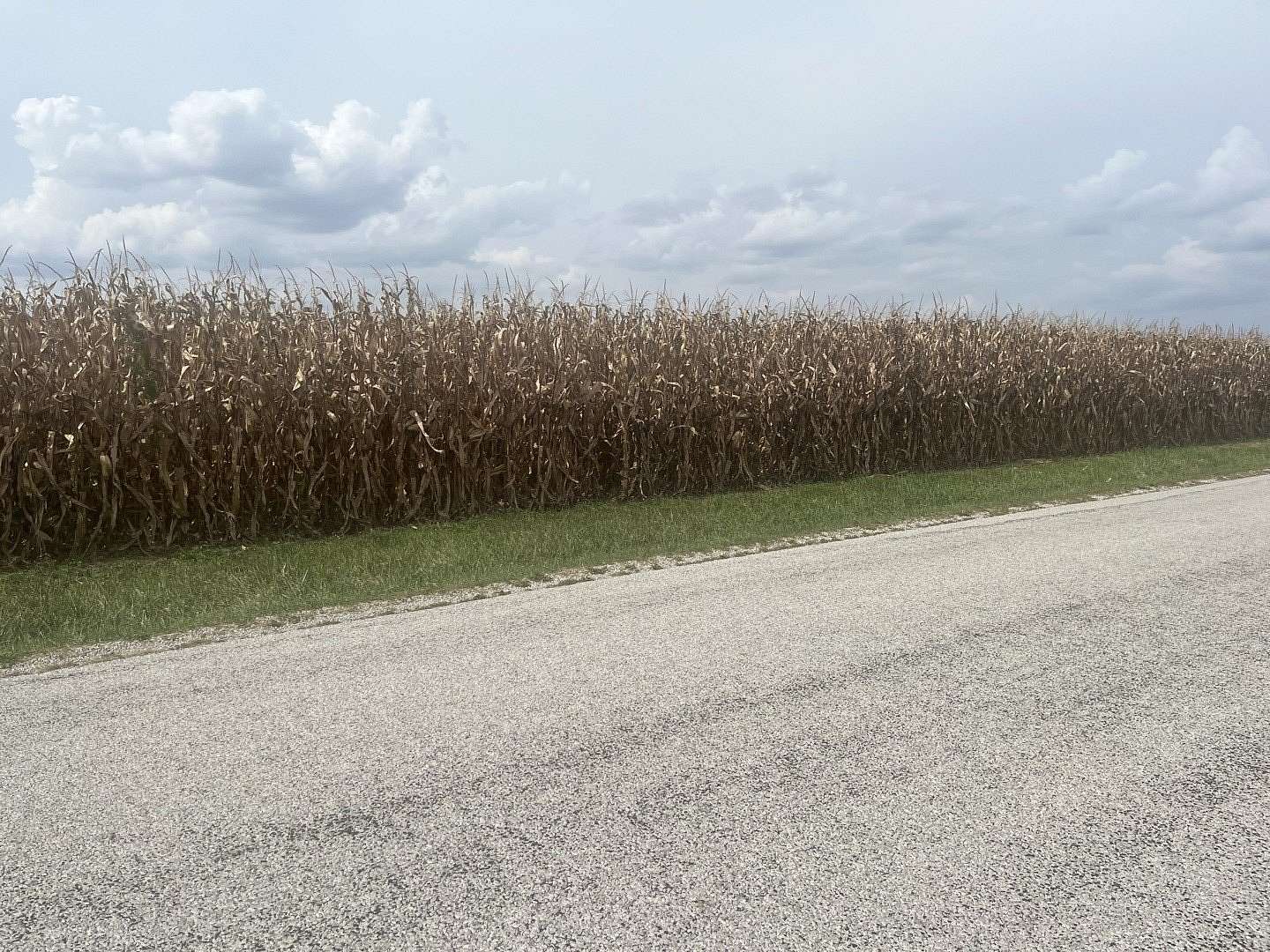 40 Acres of Agricultural Land for Sale in St. Joseph, Illinois