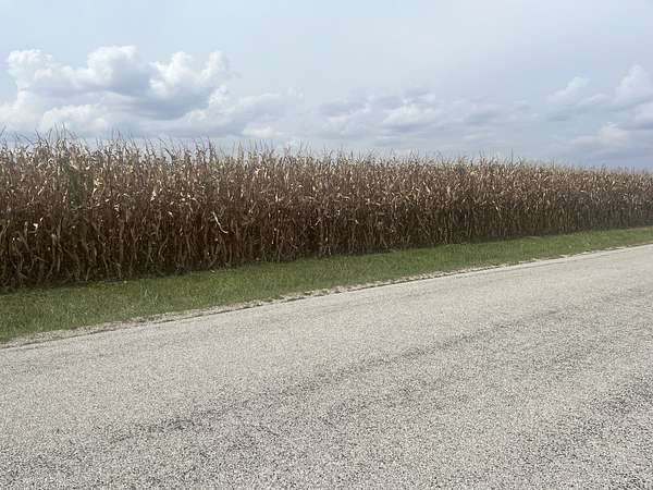40 Acres of Agricultural Land for Sale in St. Joseph, Illinois