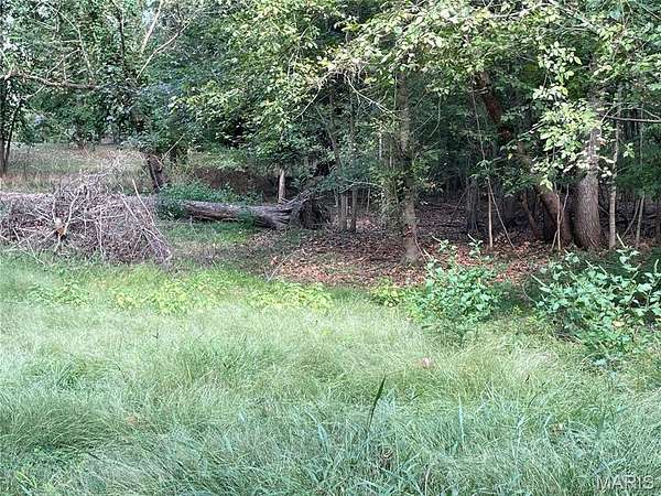 0.42 Acres of Land for Sale in Piedmont, Missouri