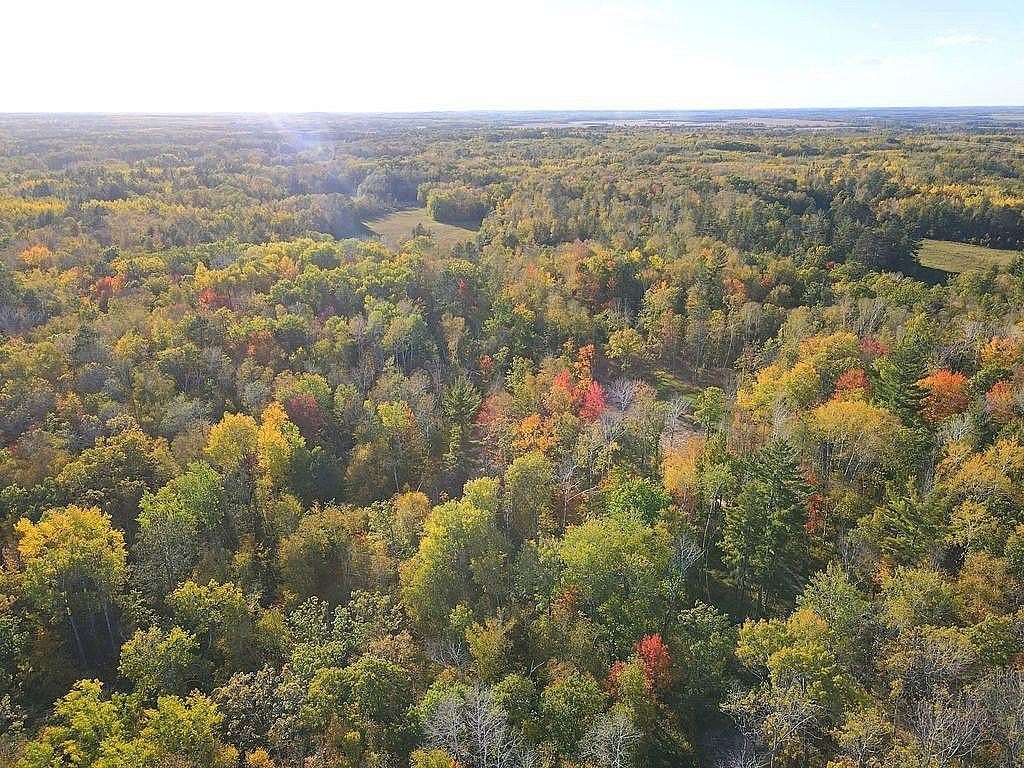 27.5 Acres of Recreational & Residential Land for Sale in Park Rapids, Minnesota