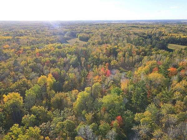 27.5 Acres of Recreational & Residential Land for Sale in Park Rapids, Minnesota