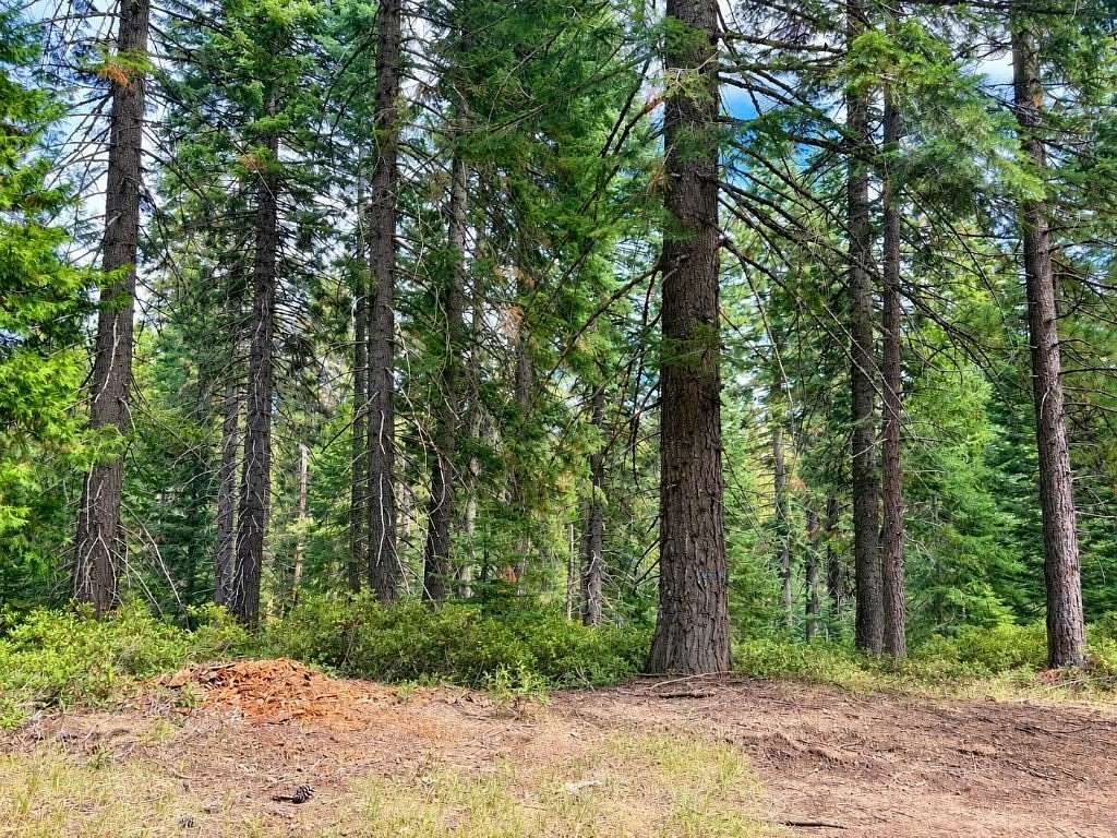 2.5 Acres of Residential Land for Sale in McCloud, California