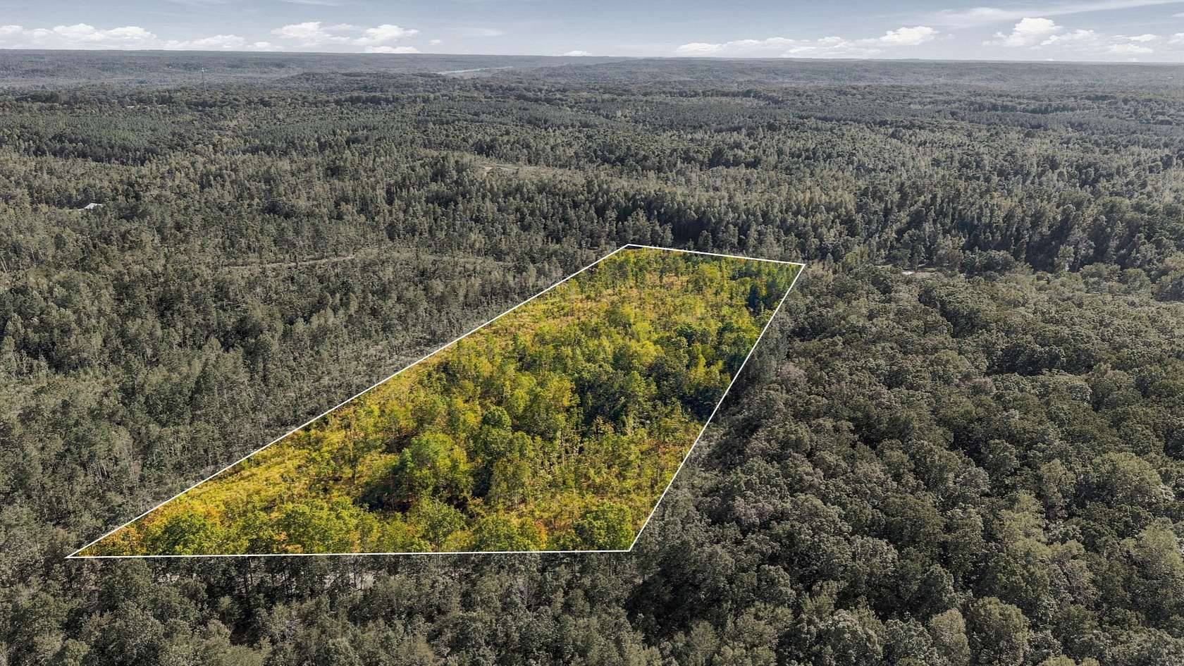13.9 Acres of Recreational & Residential Land for Sale in Holladay, Tennessee