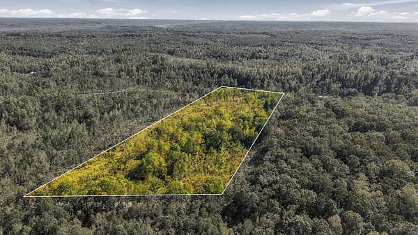 13.9 Acres of Recreational & Residential Land for Sale in Holladay, Tennessee