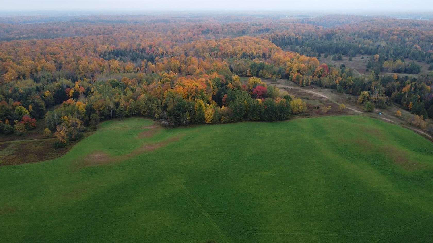 80 Acres of Recreational Land for Sale in Bryant, Wisconsin