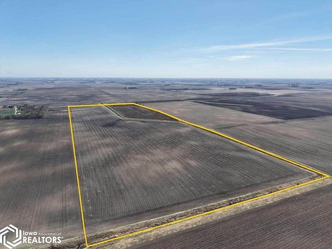 124 Acres of Agricultural Land for Sale in Belview, Minnesota