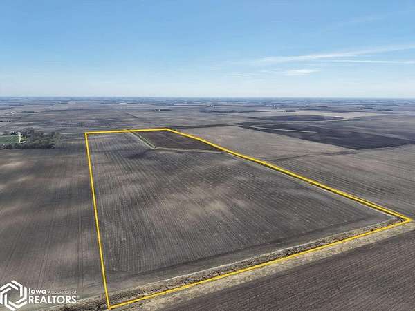 124 Acres of Agricultural Land for Sale in Belview, Minnesota