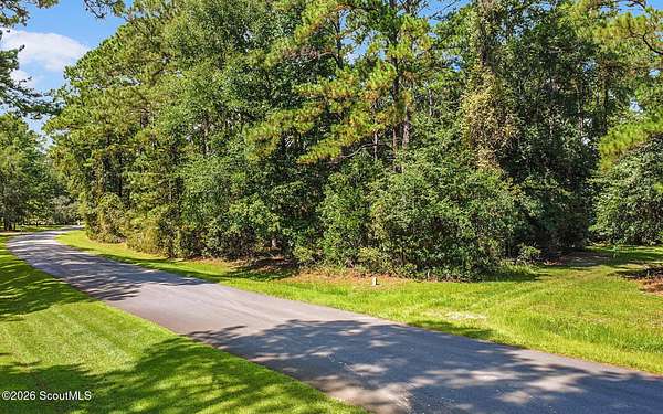 1.62 Acres of Residential Land for Sale in Townsend, Georgia