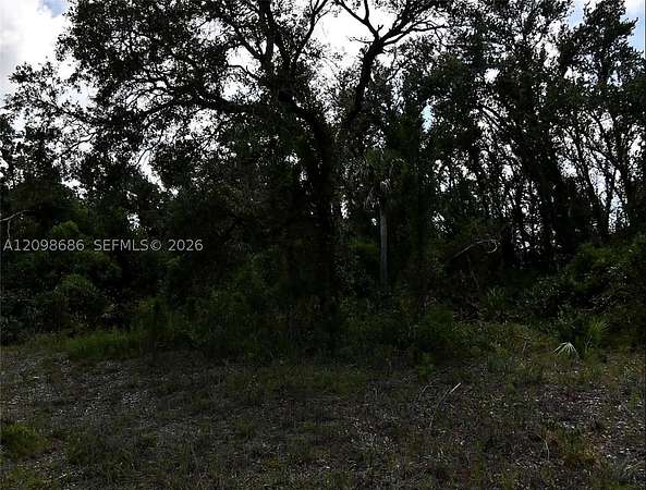 0.22 Acres of Residential Land for Sale in North Port, Florida