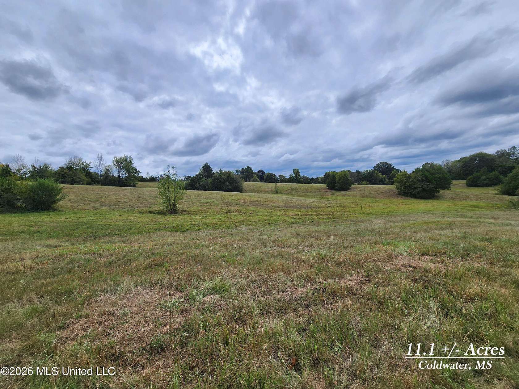 11.1 Acres of Land for Sale in Coldwater, Mississippi