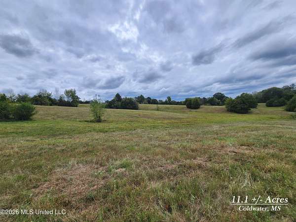 11.1 Acres of Land for Sale in Coldwater, Mississippi