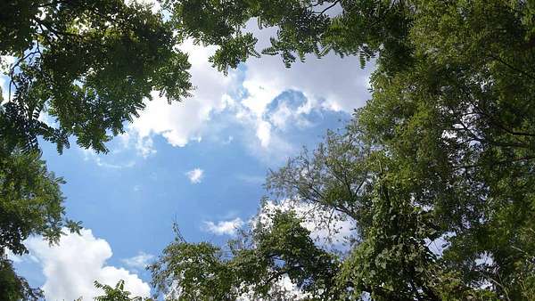 11 Acres of Recreational & Residential Land for Sale in Wingett Run, Ohio
