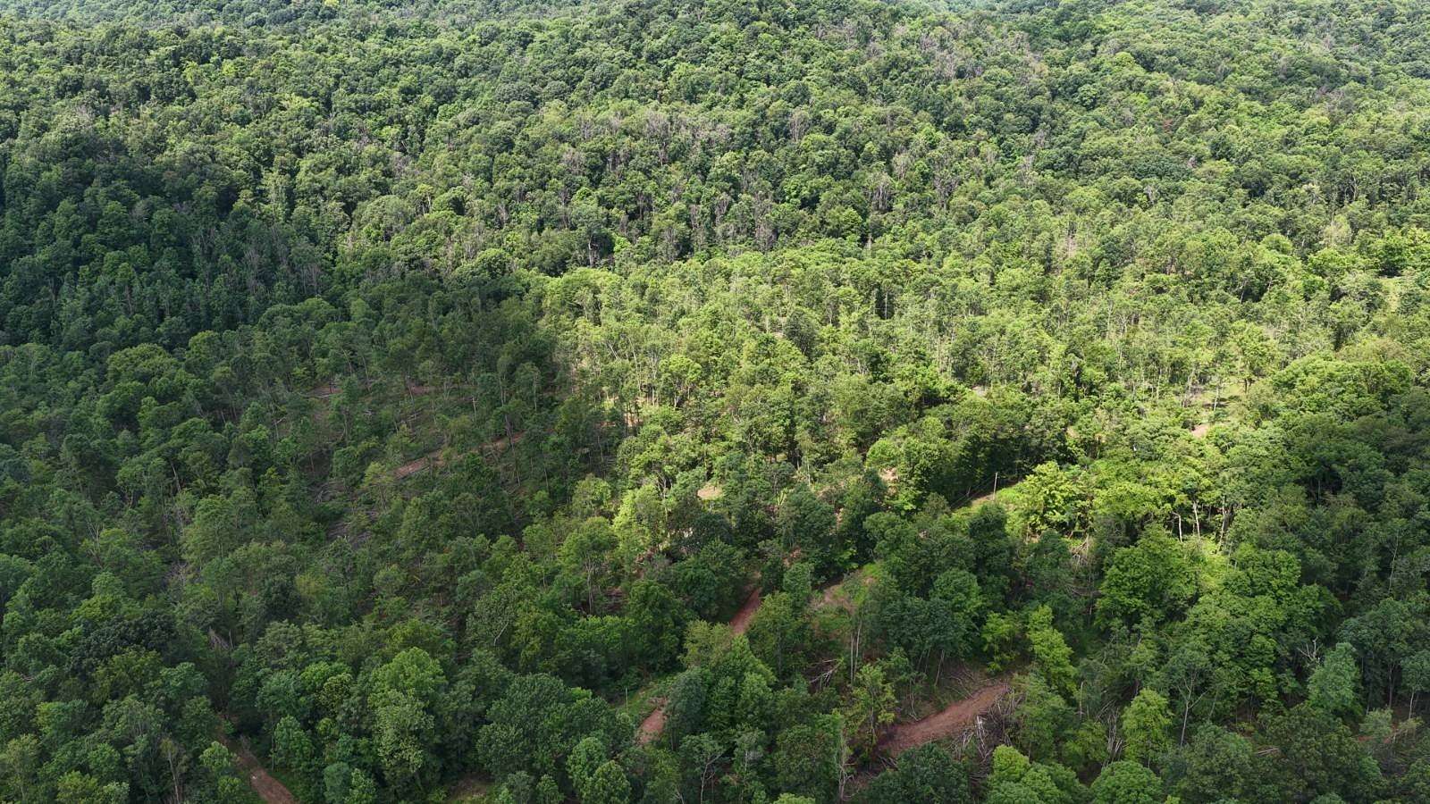 11 Acres of Recreational & Residential Land for Sale in Wingett Run, Ohio