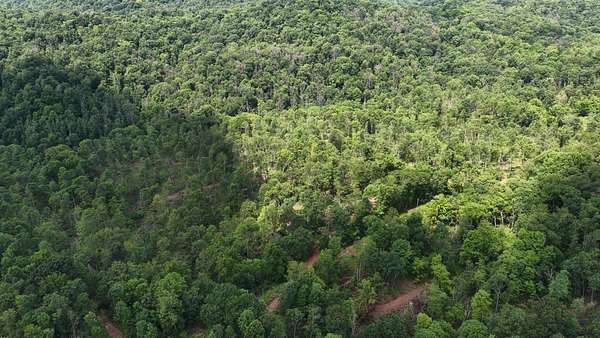 11 Acres of Recreational & Residential Land for Sale in Wingett Run, Ohio