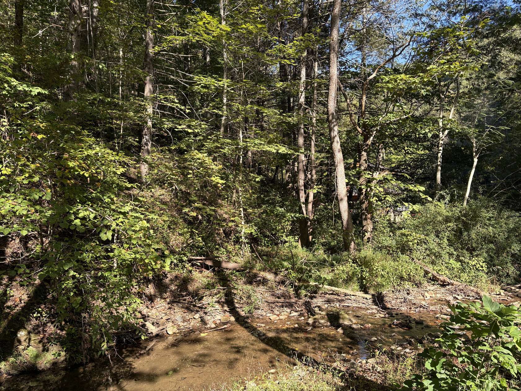 0.68 Acres of Residential Land for Sale in Sevierville, Tennessee