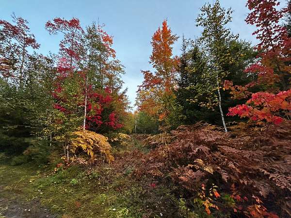 5.34 Acres of Residential Land for Sale in Gay, Michigan