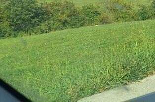 0.19 Acres of Residential Land for Sale in Flemingsburg, Kentucky