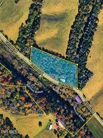 8.13 Acres of Land with Home for Auction in Afton, Tennessee