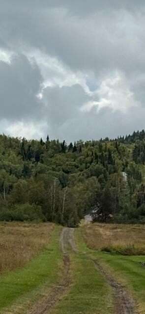 18 Acres of Recreational Land for Sale in Frenchville, Maine