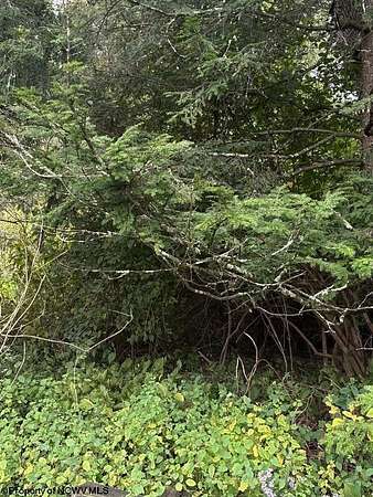 1.2 Acres of Land for Sale in Elkins, West Virginia