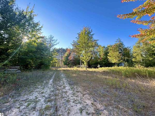 25 Acres of Recreational & Residential Land for Sale in Thompsonville, Michigan