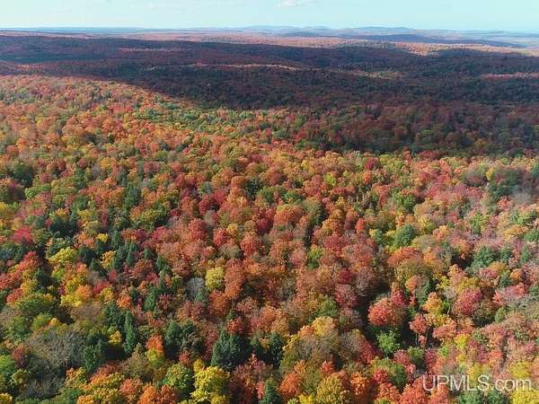80 Acres of Recreational & Residential Land for Sale in Ishpeming, Michigan