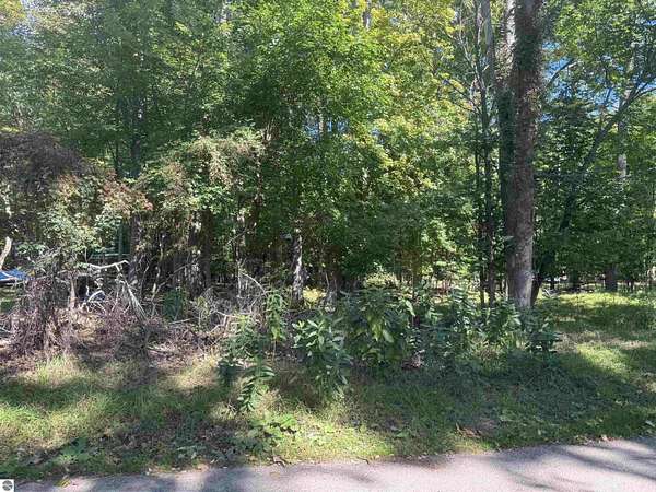 0.02 Acres of Land for Sale in Hale, Michigan