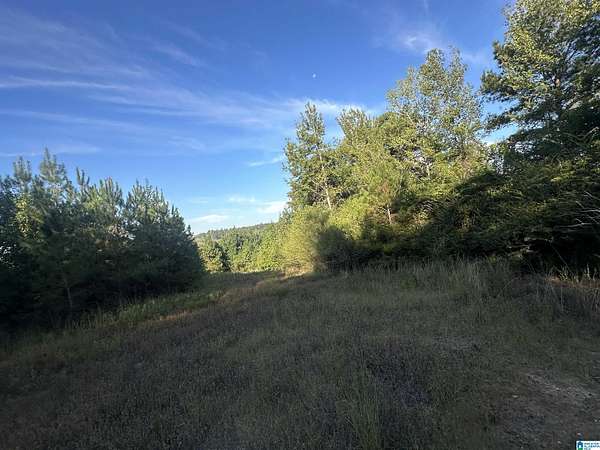 38.7 Acres of Land for Sale in Stanton, Alabama