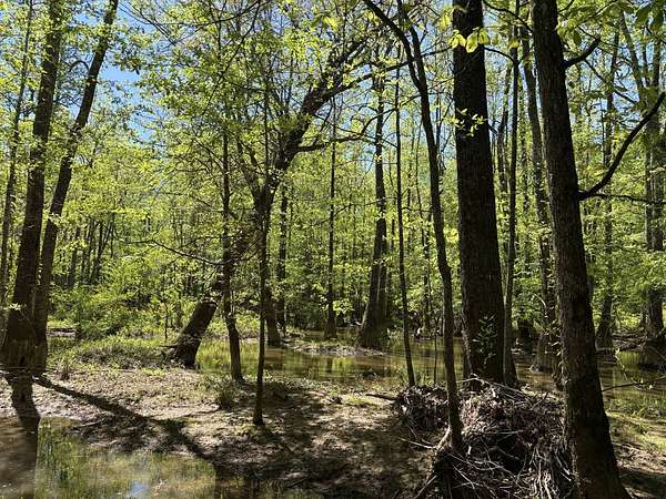 287 Acres of Recreational Land for Sale in Millport, Alabama