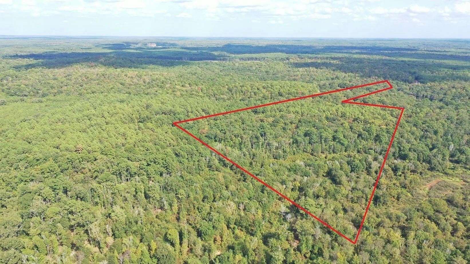 38.9 Acres of Recreational & Residential Land for Sale in Avinger, Texas