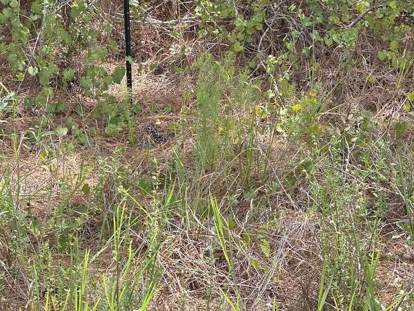 0.23 Acres of Residential Land for Sale in Lake Placid, Florida