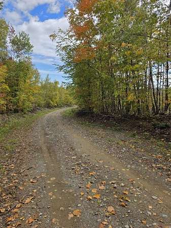 45.5 Acres of Recreational Land for Sale in Carroll Plantation, Maine