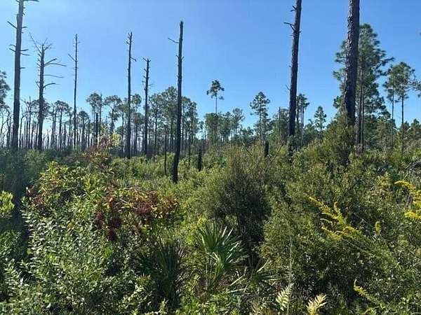 1.26 Acres of Land for Sale in Frostproof, Florida