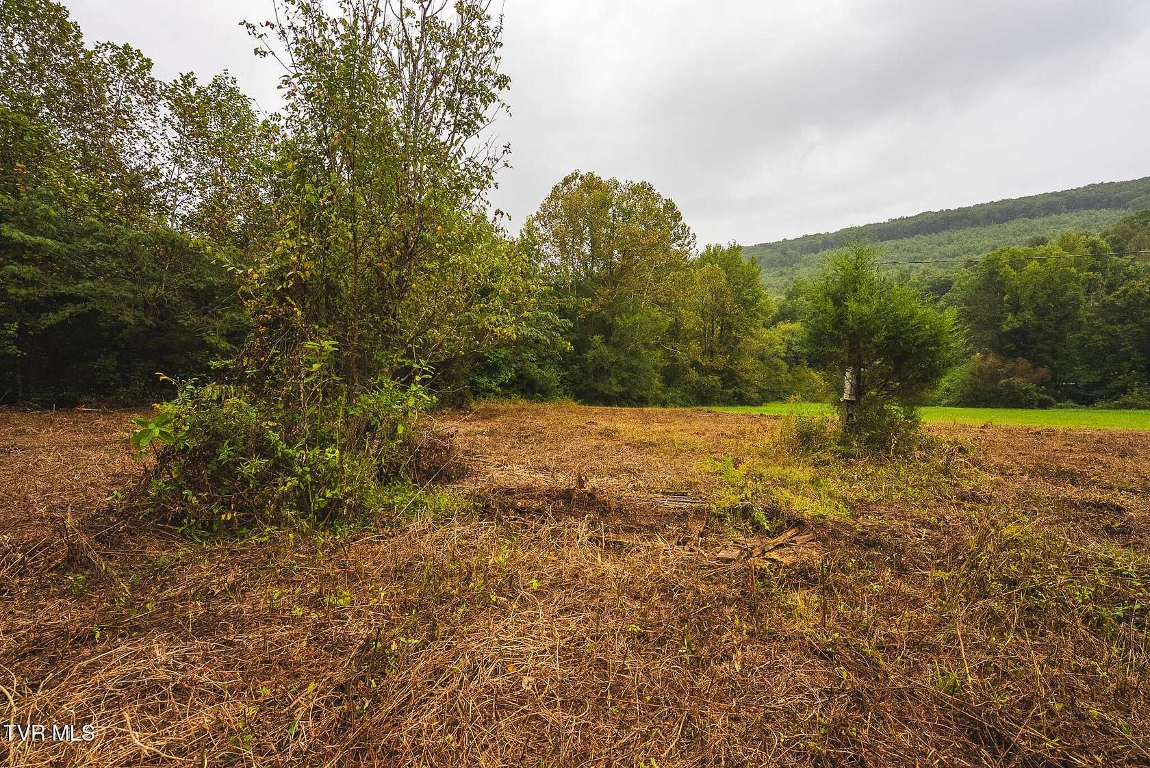 1 Acre of Residential Land for Auction in Rogersville, Tennessee
