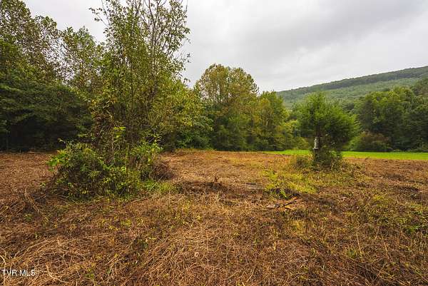 1 Acre of Residential Land for Auction in Rogersville, Tennessee