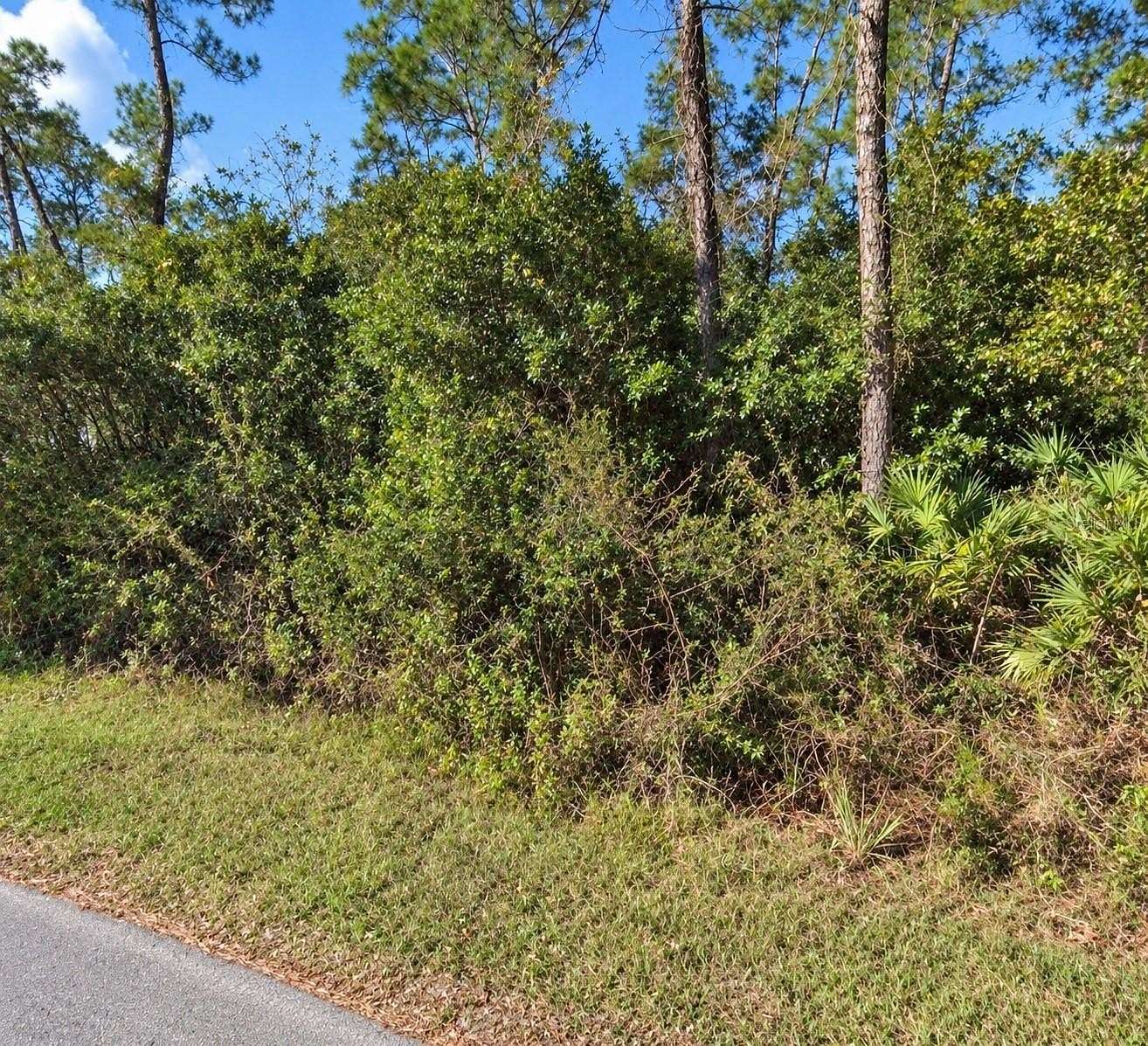 0.34 Acres of Residential Land for Sale in Astor, Florida