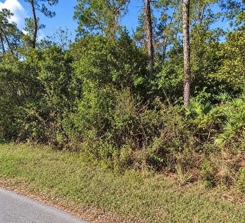0.34 Acres of Residential Land for Sale in Astor, Florida