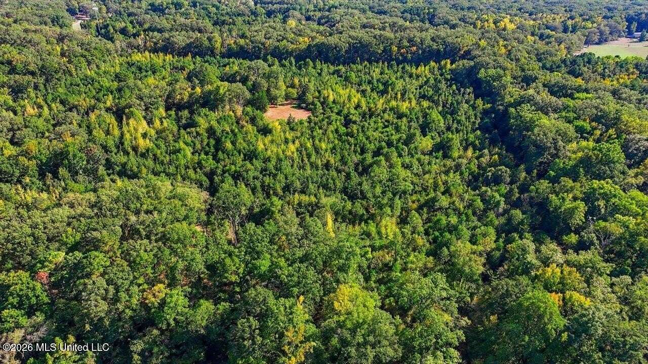 101 Acres of Recreational & Residential Land for Sale in Raymond, Mississippi