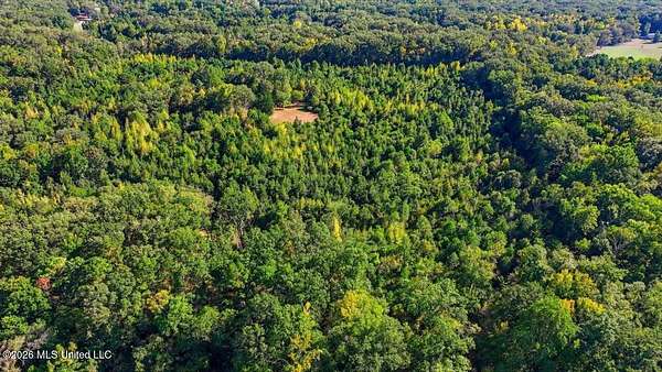 101 Acres of Recreational & Residential Land for Sale in Raymond, Mississippi